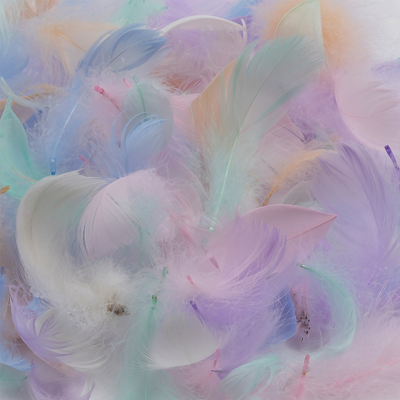 Raffia Decorative Feathers