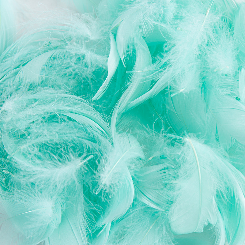 Raffia Decorative Feathers
