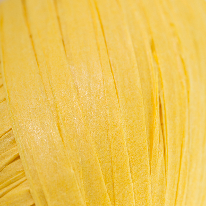 Paper Raffia Fancy Yarn