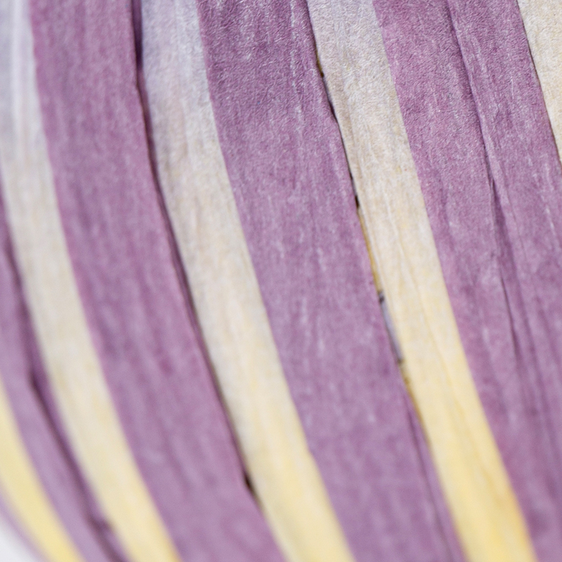 Paper Raffia Fancy Yarn