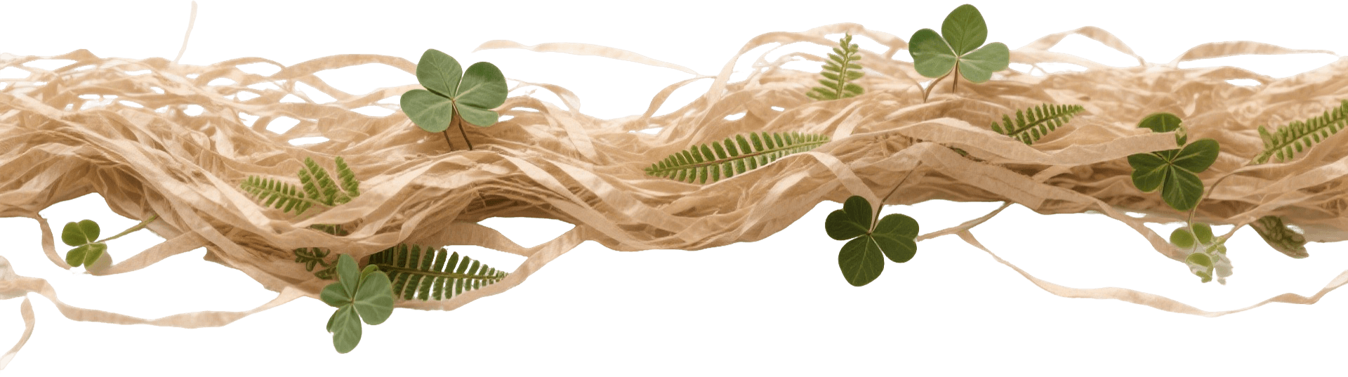 Zhejiang Raffia Paper Products Co., Ltd.